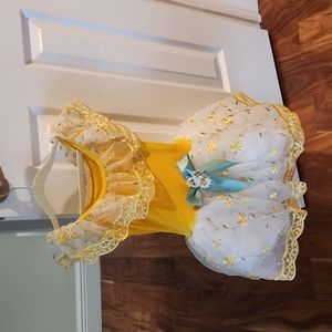 Ballet recital costume